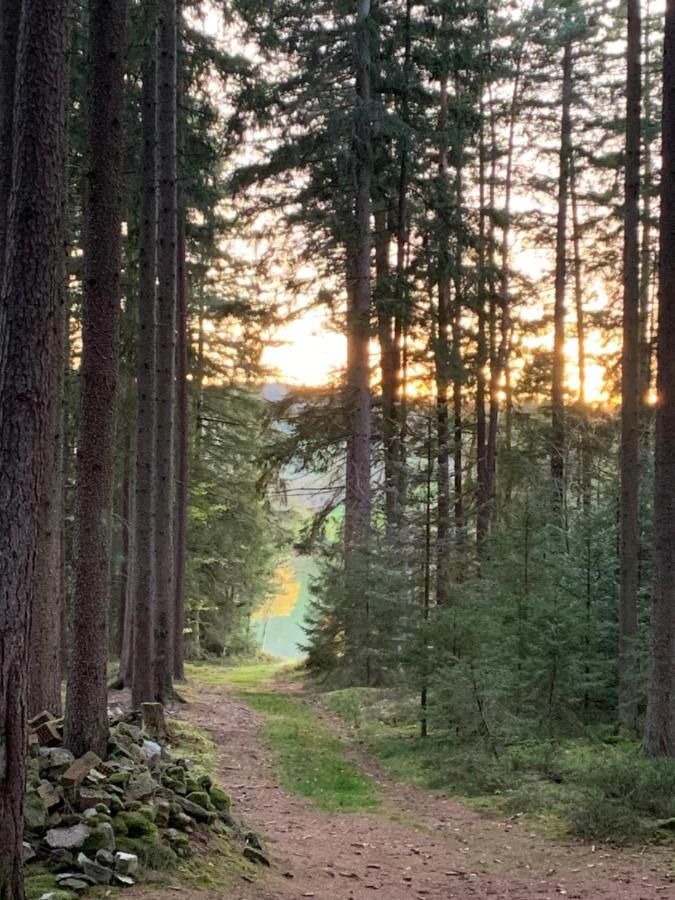 Apartmán Tarahaus Sankt Georgen im Schwarzwald Exteriér fotografie
