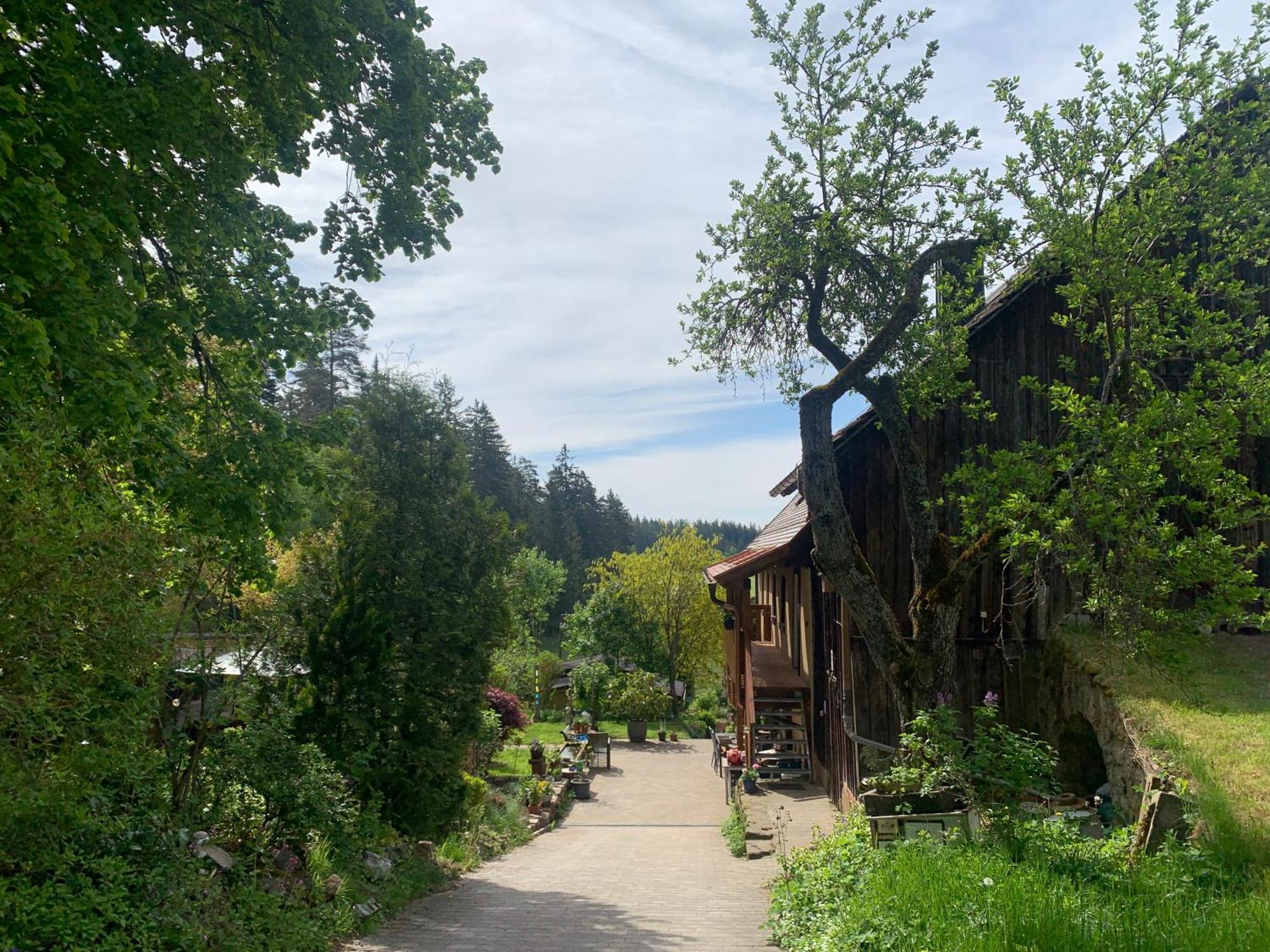 Apartmán Tarahaus Sankt Georgen im Schwarzwald Exteriér fotografie